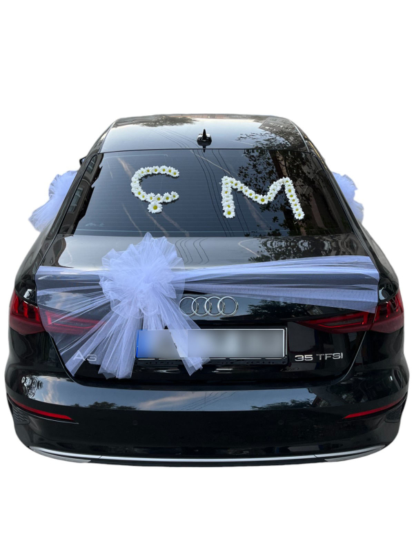Audi Gelin Arabası